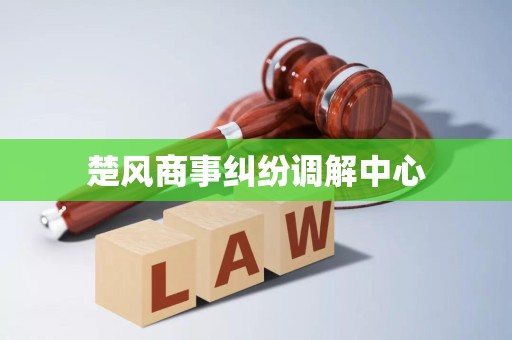 楚風(fēng)商事糾紛調(diào)解中心破產(chǎn)清算服務(wù) 專業(yè)、高效、公正的債務(wù)解決方案